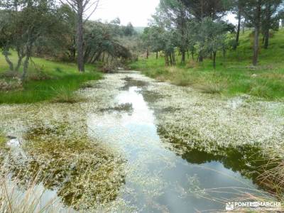 Ruta senderismo 40000 pasos; comarca de la siberia grupos de senderismo en granada parque rio manzan